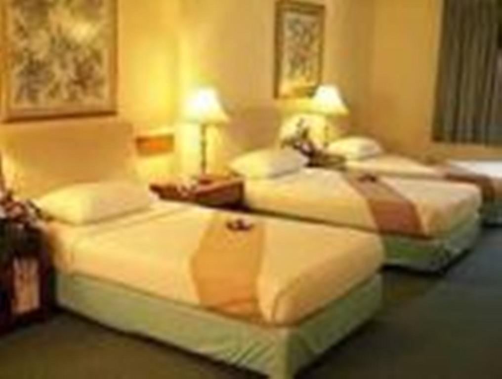 Hotel Hans International นิวเดลี ห้อง รูปภาพ