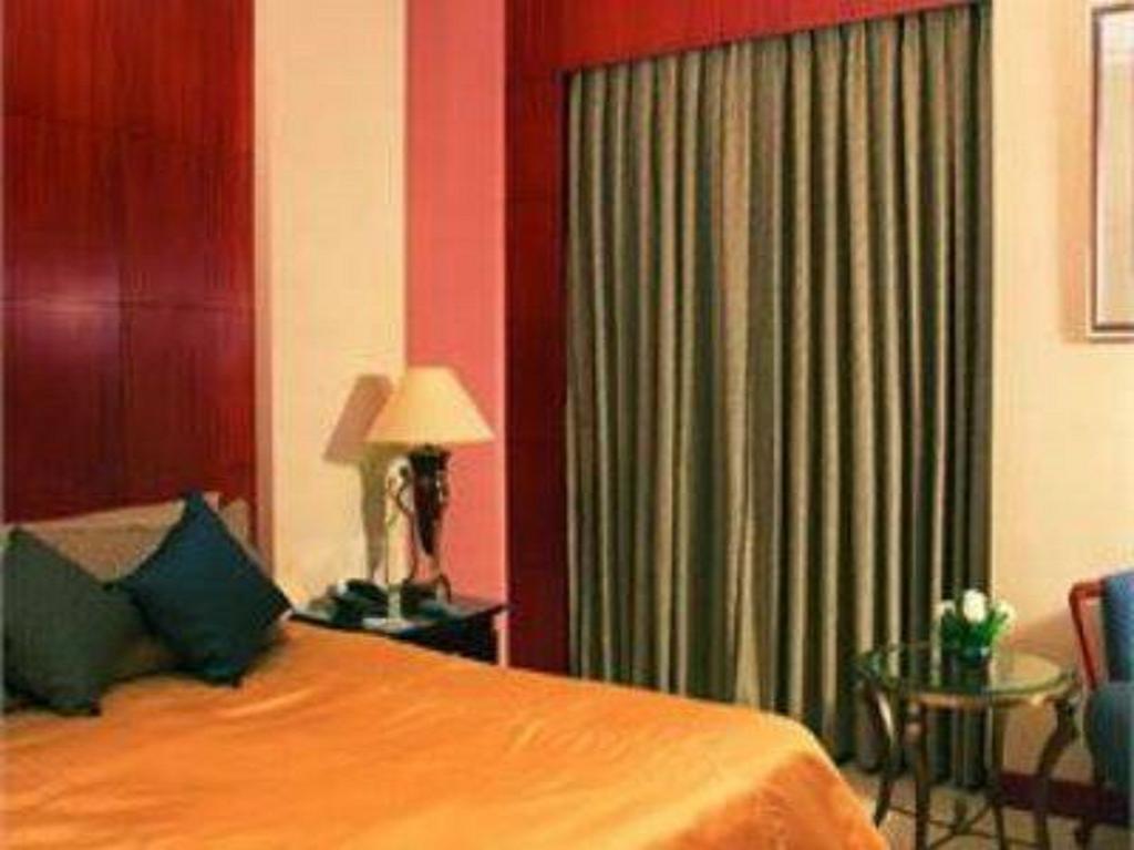 Hotel Hans International นิวเดลี ห้อง รูปภาพ